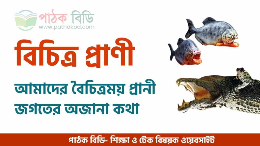 বিচিত্র প্রাণী