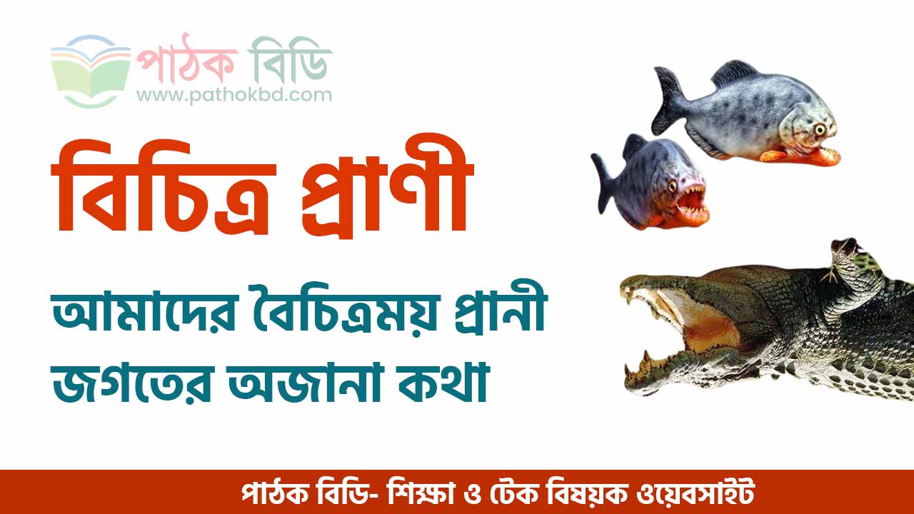 বিচিত্র প্রাণী